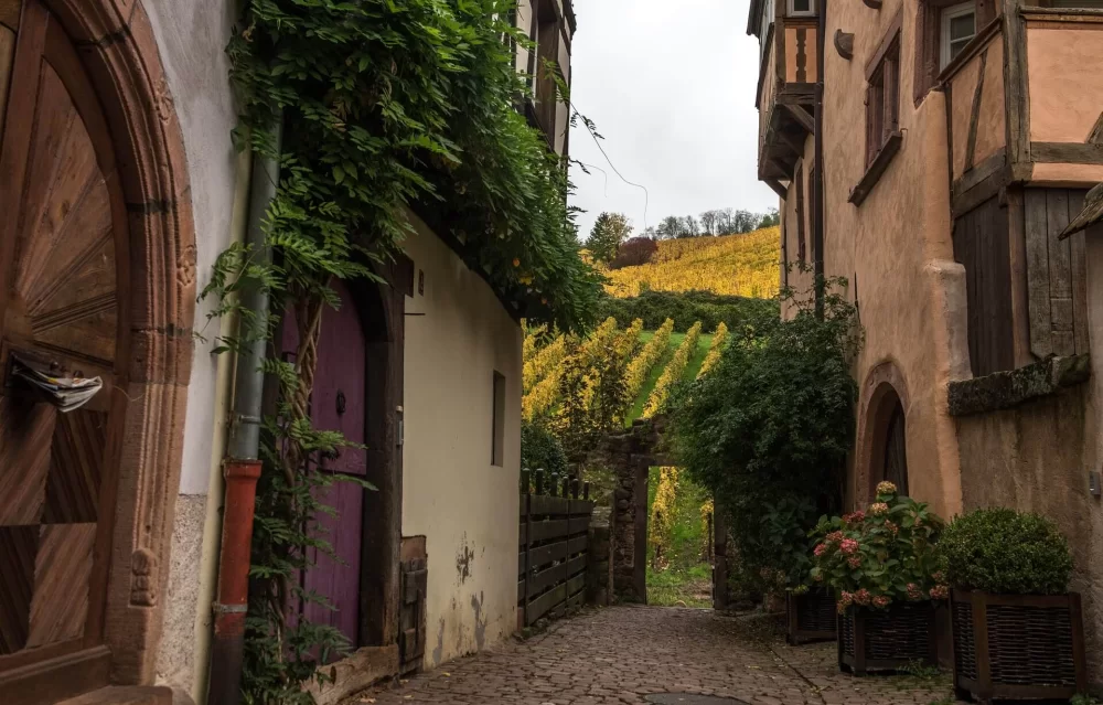 1 Elsass Erntedank