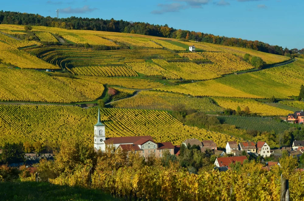 Elsass Erntedank 7