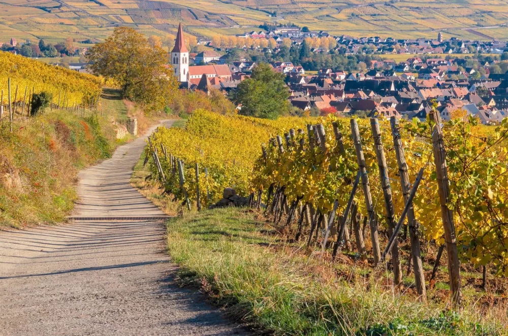 Elsass Erntedank 8