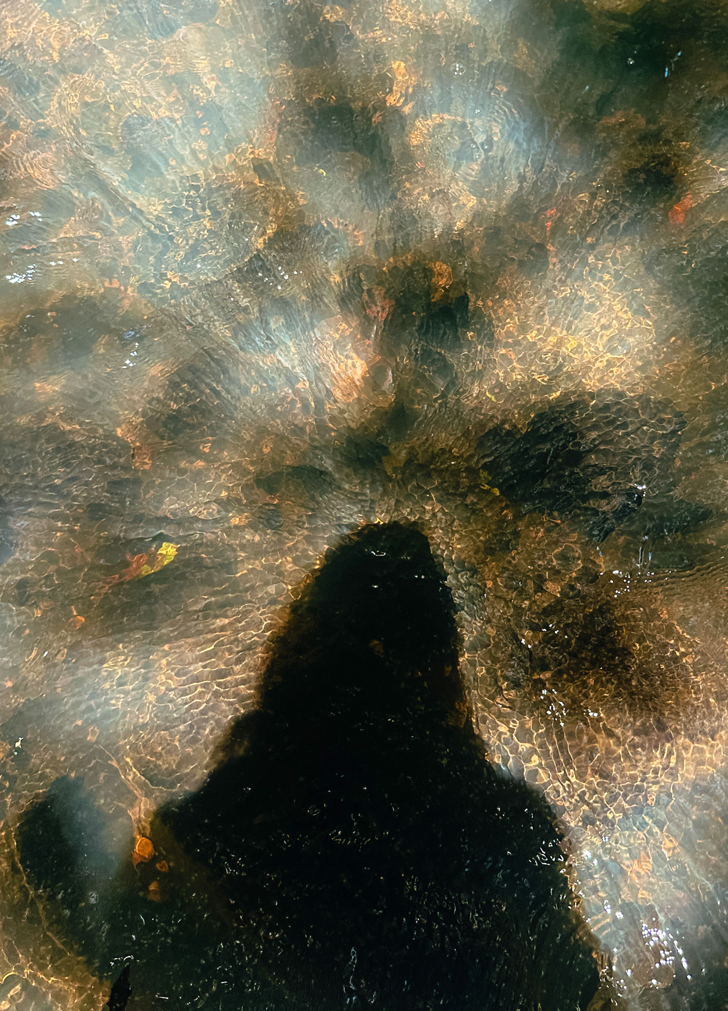 Das Leben liegt immer vorne